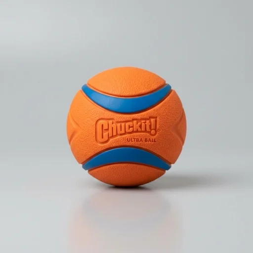 Chuckit! Ultra Ball Dog Toy