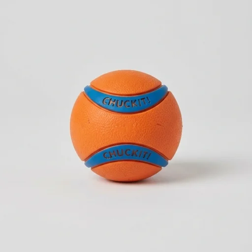 Chuckit! Ultra Ball Dog Toy