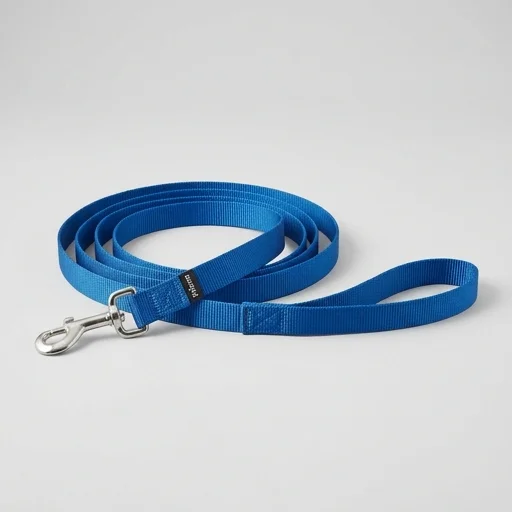 Frisco Solid Nylon Dog Leash
