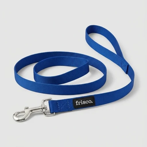 Frisco Solid Nylon Dog Leash