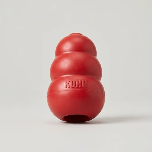 KONG Classic Dog Toy