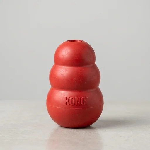 KONG Classic Dog Toy