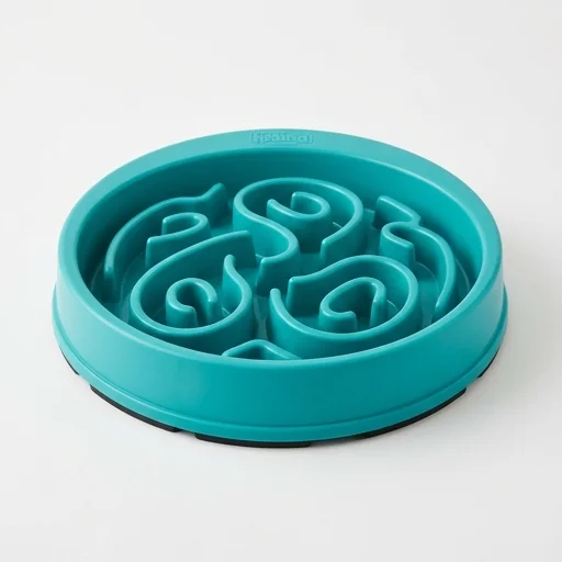 Outward Hound Fun Feeder Slow Feed Bowl