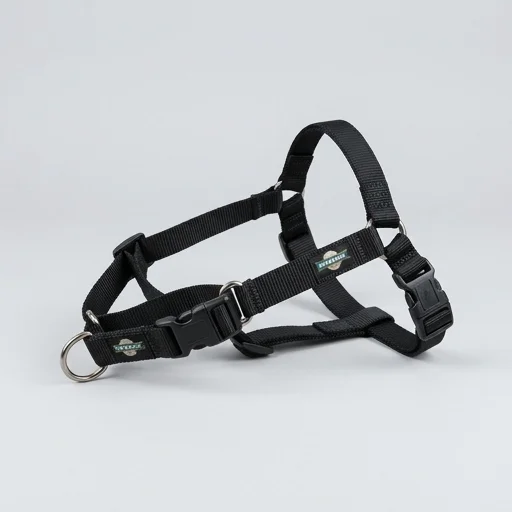 PetSafe Easy Walk Dog Harness